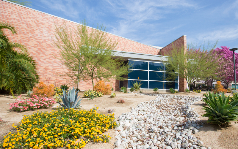 CSUF Makes Princeton Review’s Guide to Green Colleges CSUF News