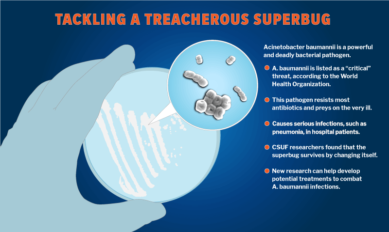 Tackling a Superbug