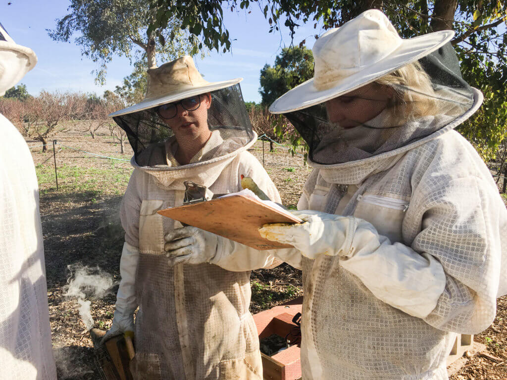 Bee Researchers