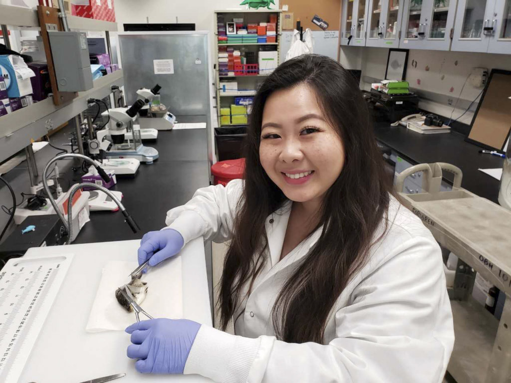 Shereen Lam working in lab