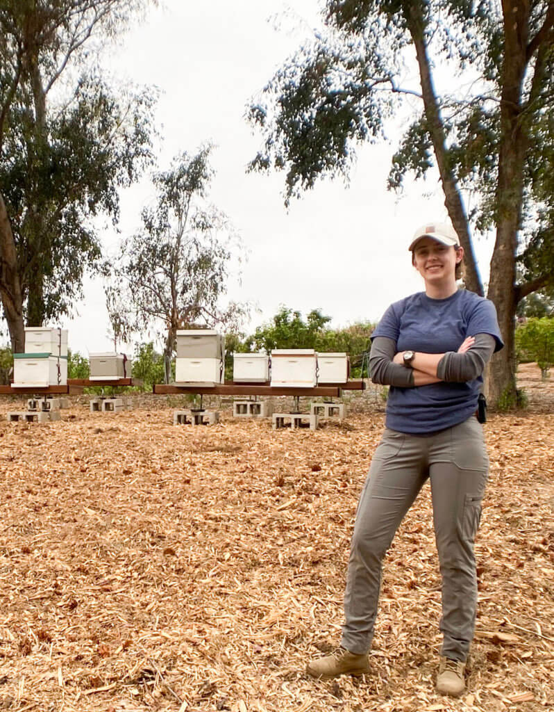 Cailin Bee reseacher in field with bee colonies
