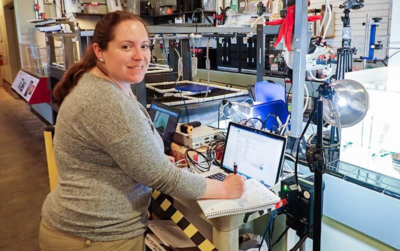 Marissa Wu working in sea lab with abalone