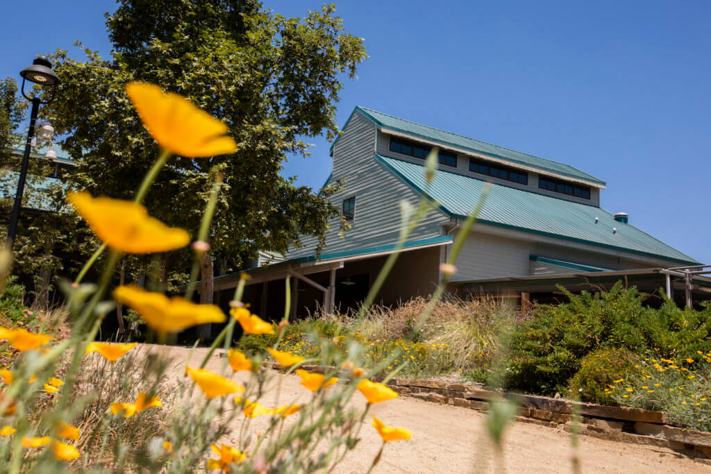 Fullerton Arboretum buildings framed by flowers