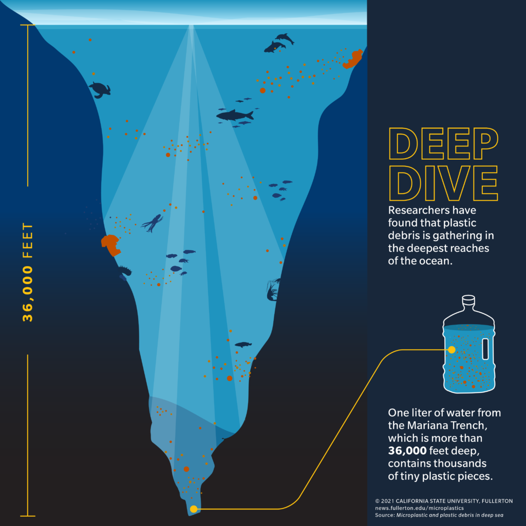Microplastic infographic with depth of plastic penetration