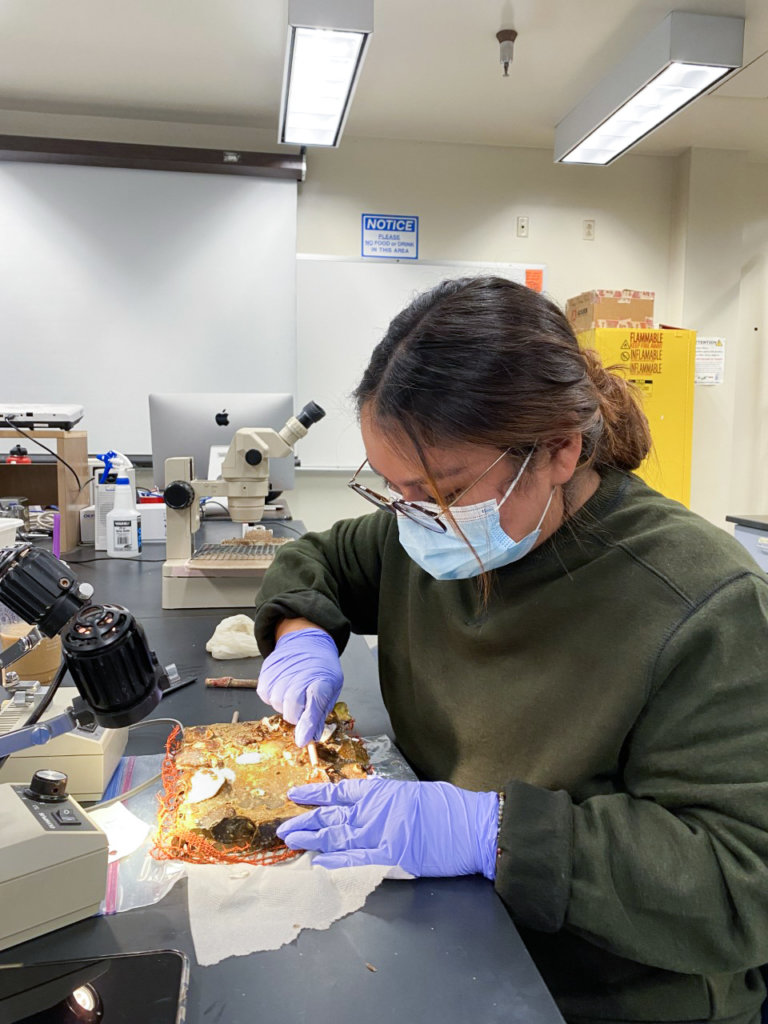 Leeza Rodriguez working in lab