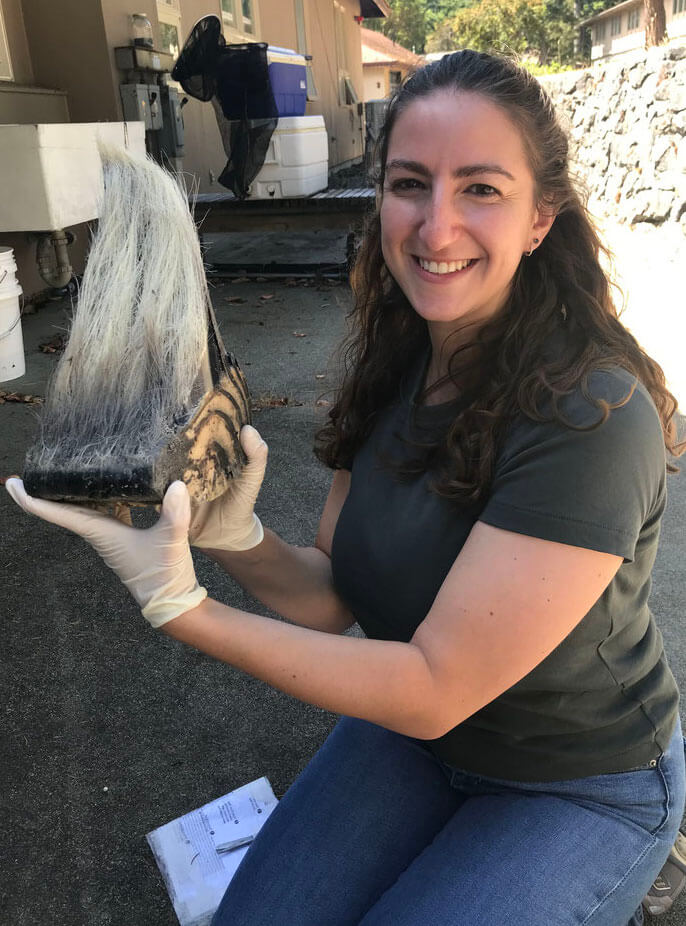 Shirel Kahane-Rapport holding baleen sample