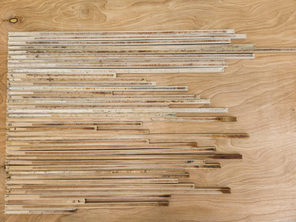 Sample Tree Cores