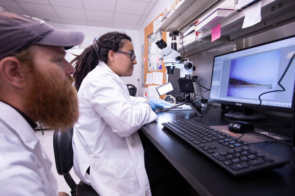 MBL March Madness: Toadfish  Marine Biological Laboratory