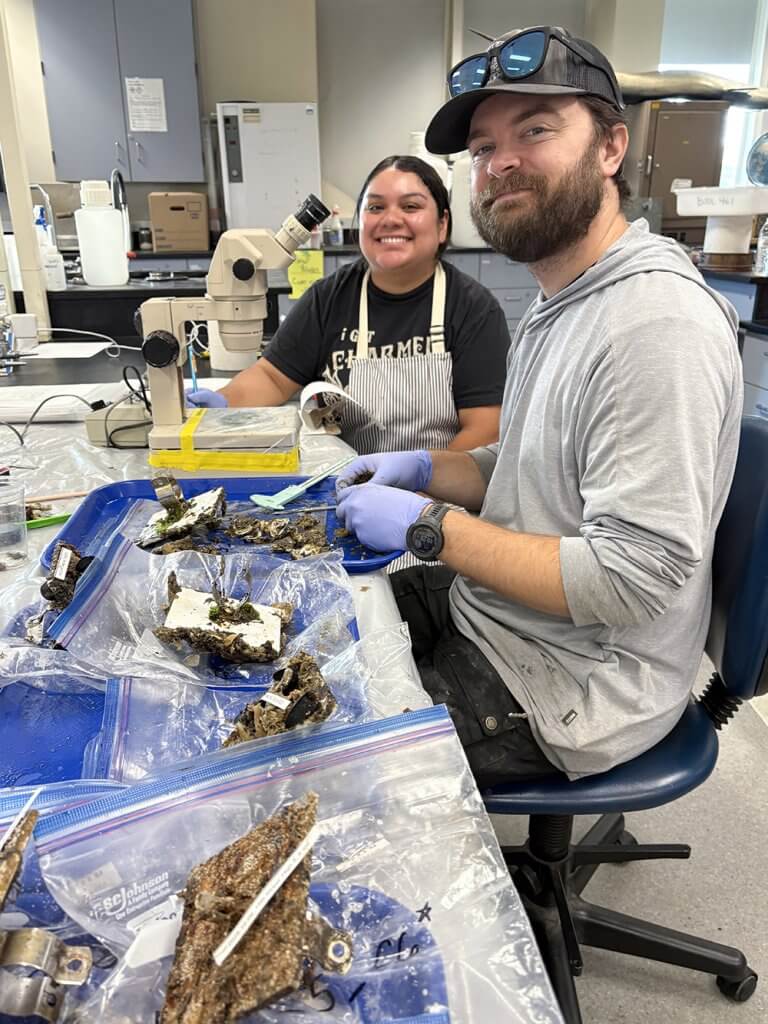 Students work with Oysters in lab