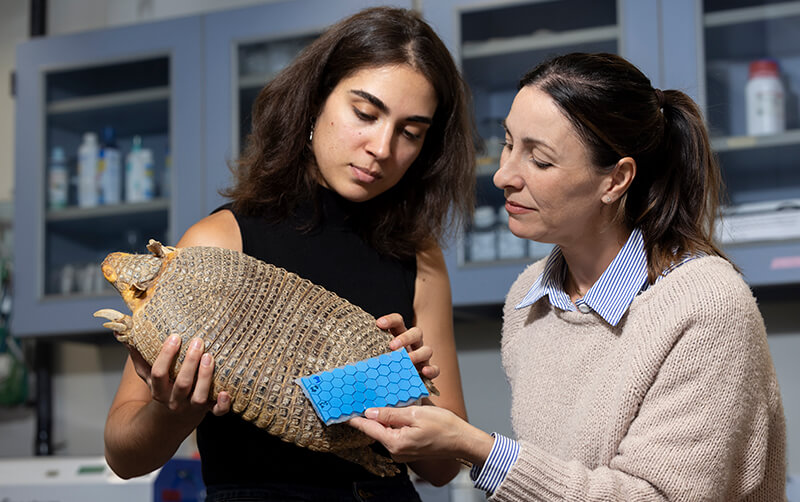 CSUF biology grad student Julia Teeple and her professor, Misty Paig-Tran, examine an armadillo specimen in the lab.