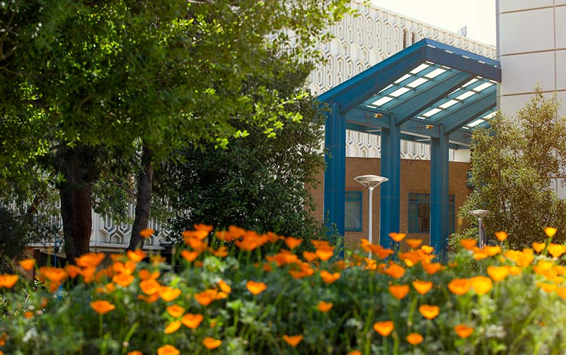Pollak Library