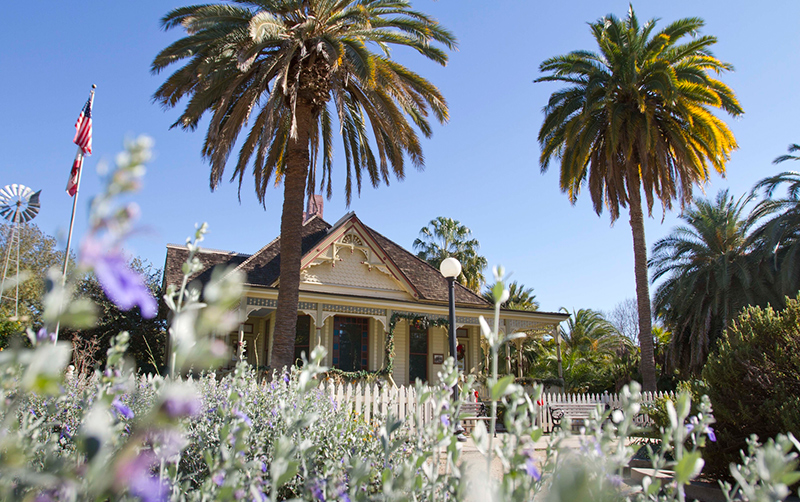 Arboretum