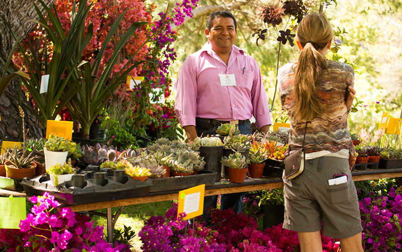Arboretum Plant Sale