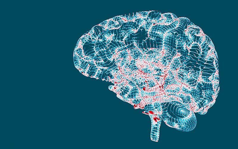 Brain Research Illustration