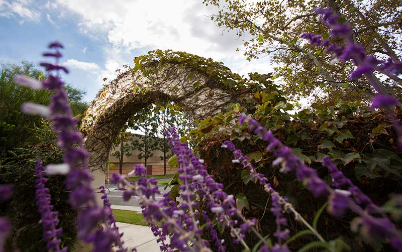 Alumni Association House Courtyard