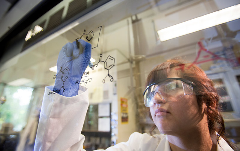 Student working in lab