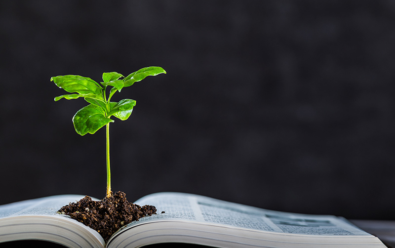 Book and Seedling