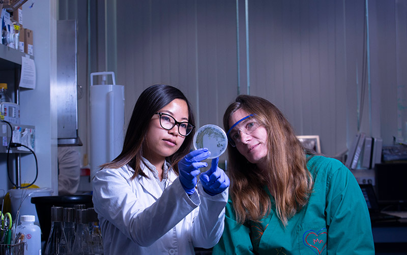 Cyanobacteria researchers look at a sample.