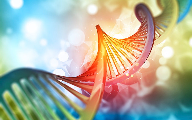 DNA Strand