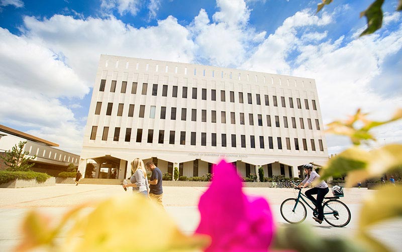 New Faculty Members Delve Into Biomedical Engineering, Device Security