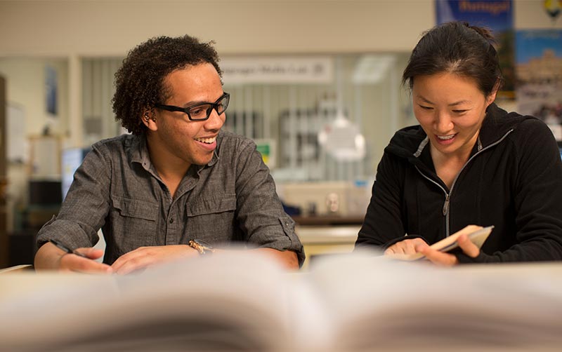 Diverse students studying