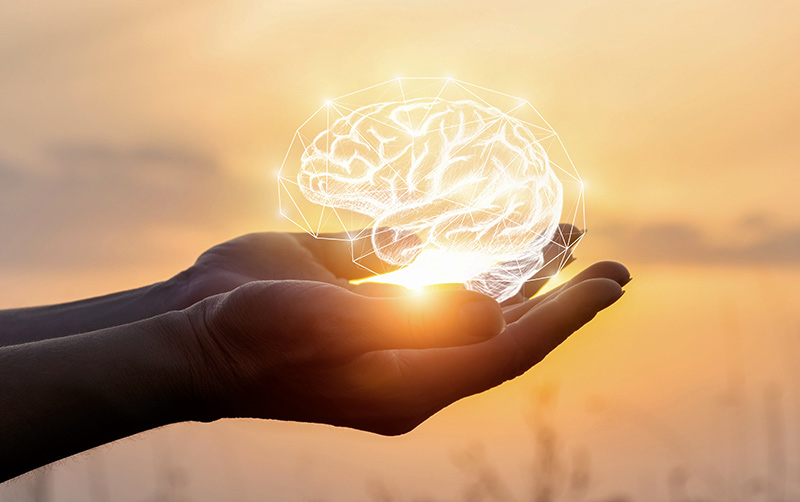 Hands holding a digitial brain illustration.