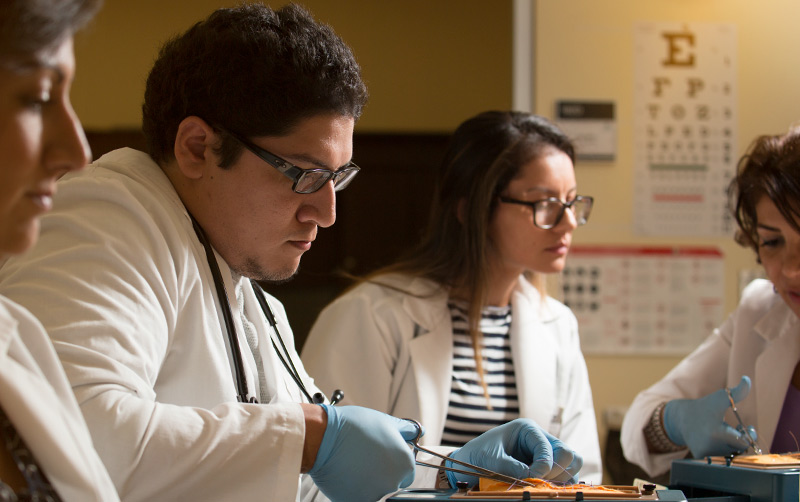 Nursing Students learning.