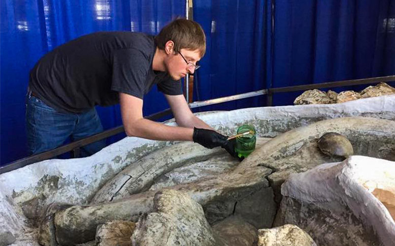 Jacob Biewer works on Fossil Walrus