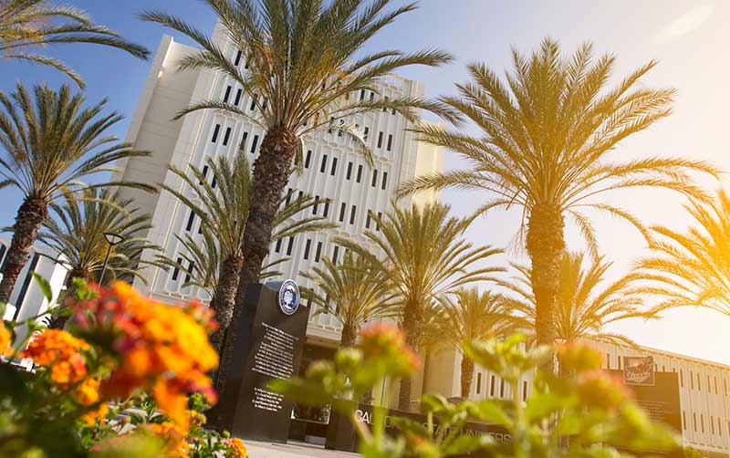 Tenure and Promotions Announced CSUF News