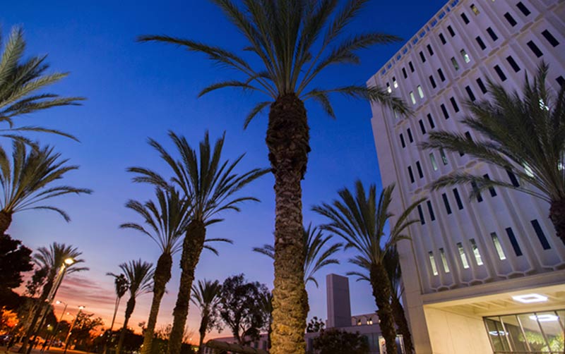 Langsdorf Hall surrounded by palm trees at sunset