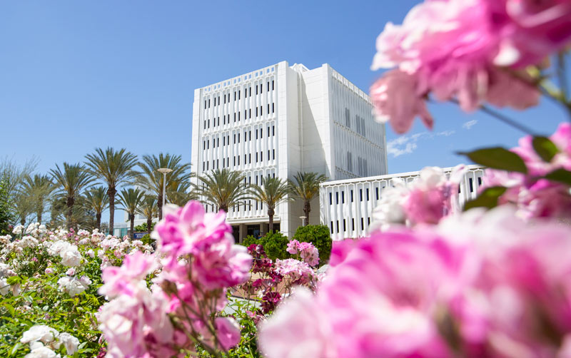 Langsdorf Hall with spring blooms.