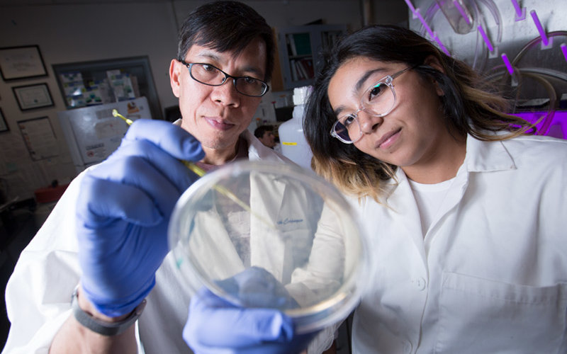 Science professor Math Cuajungco and student Vanessa Sanchez in the lab