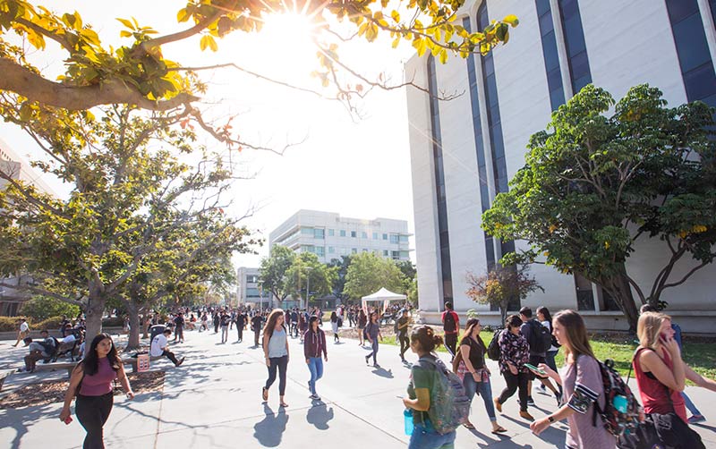 Grand Opening Set For Tuffy S Basic Needs Services Center Csuf News