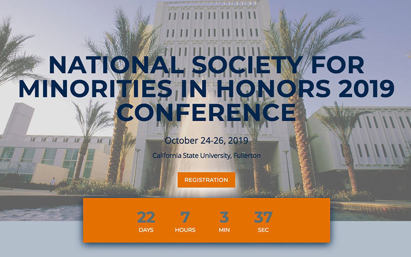 National Society Minorities Honors Banner