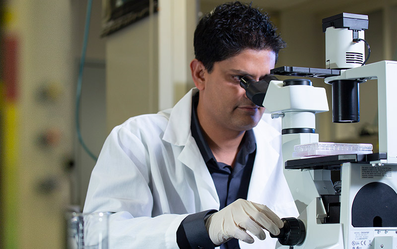 Nilay Patel working in CSUF Labratory.