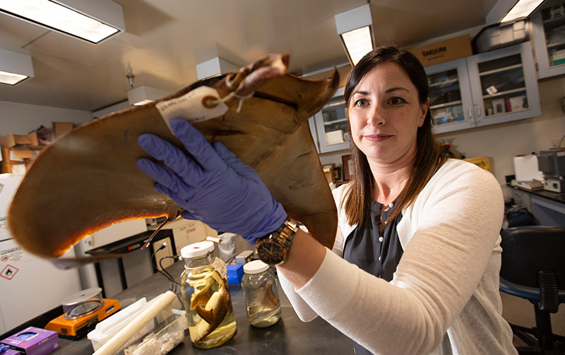 Misty Paig-Tran with ray specimen.