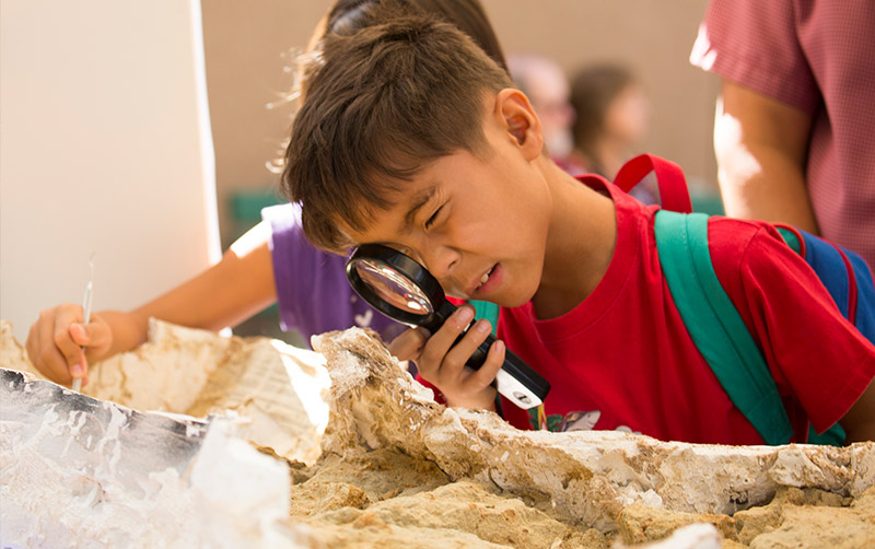 Child and Fossil