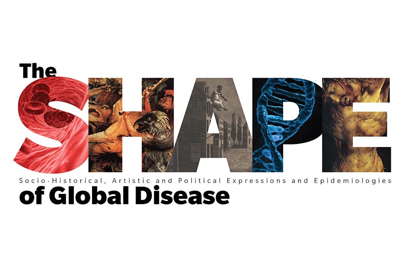 The SHAPE of Global Disease