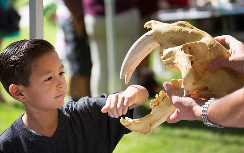 Boy touching a fossil