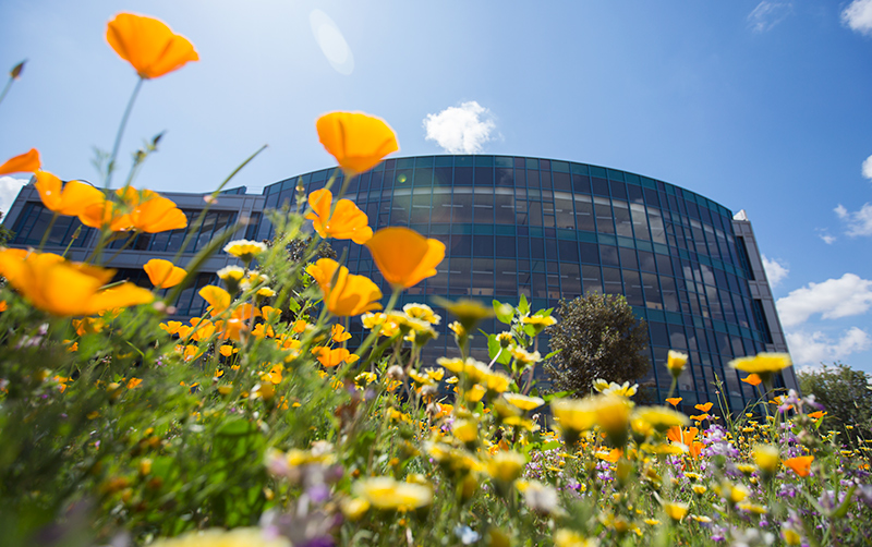 Sustainable Campus