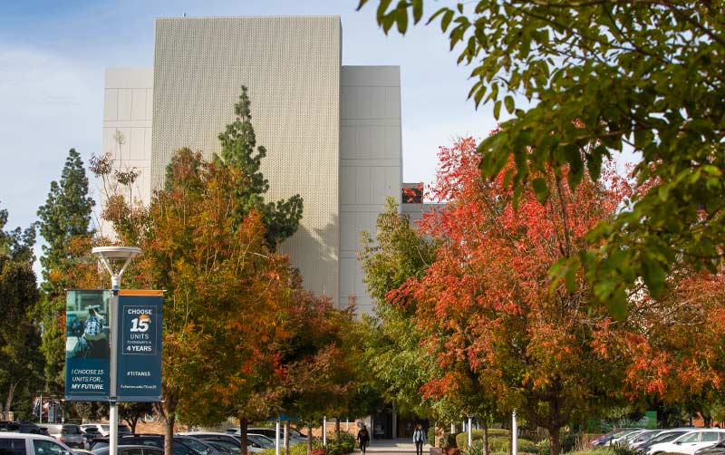 Fall leaves in front of CSUF Humanities building.