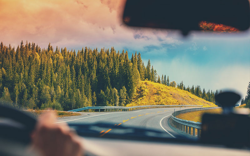 Road Trip Car Driving along forest coast.