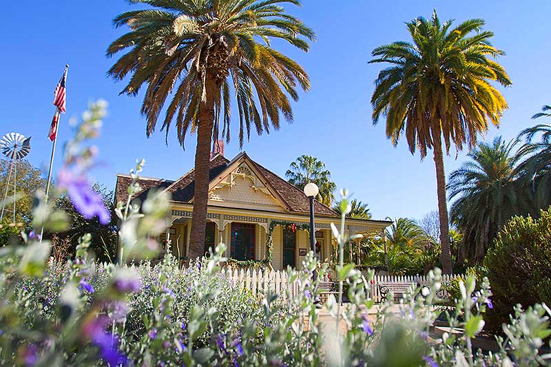 Fullerton Arboretum