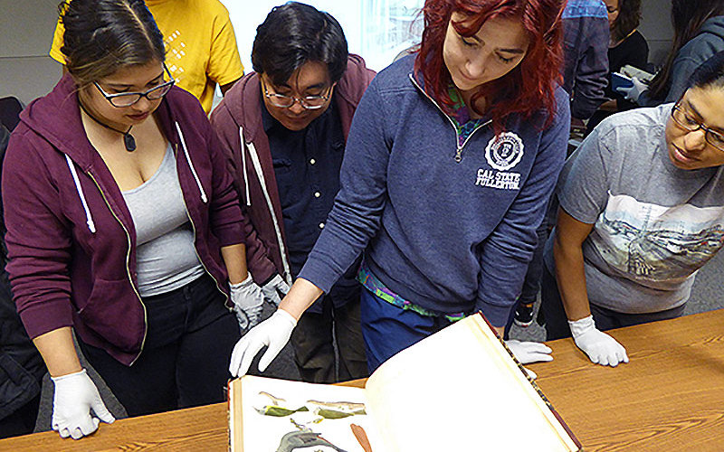 Students looking at illustrations of birds.