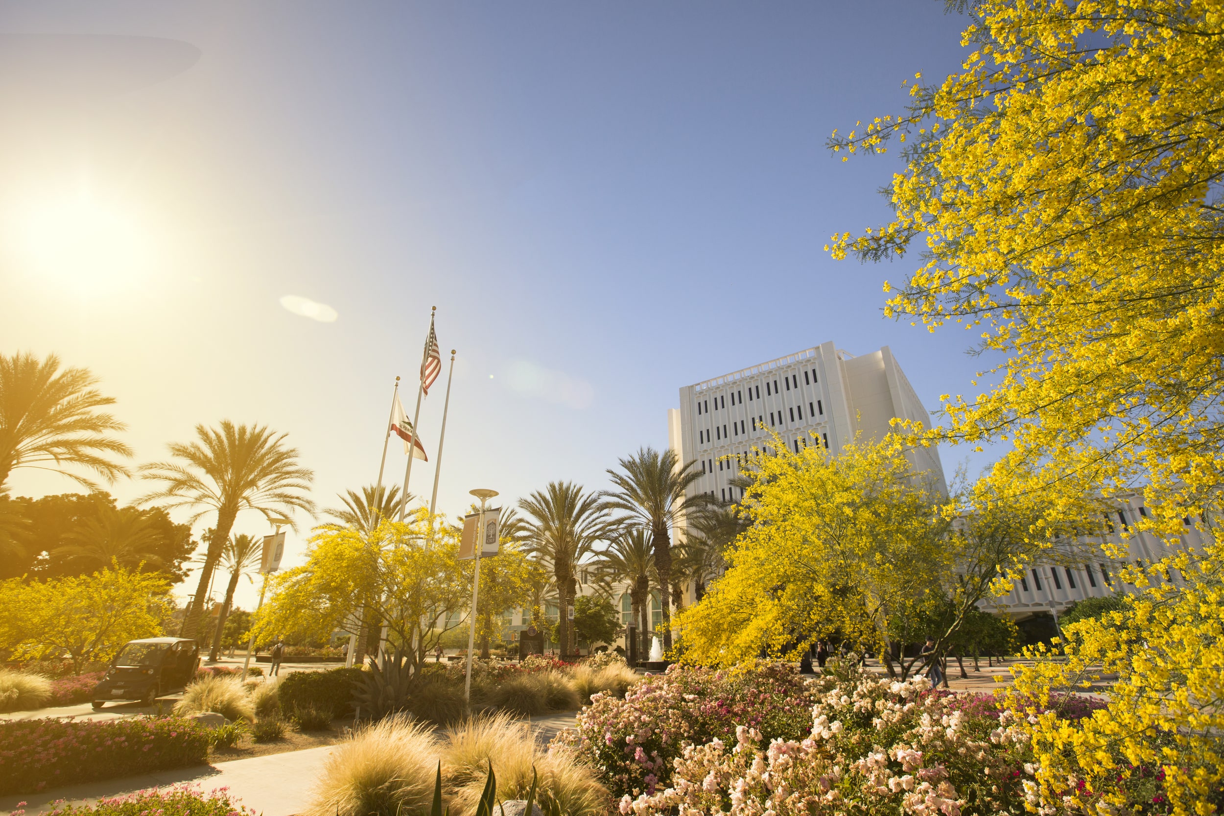 Campus Scenic