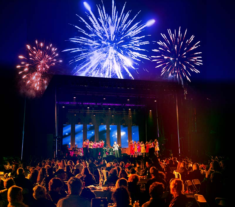Concert Under the Stars