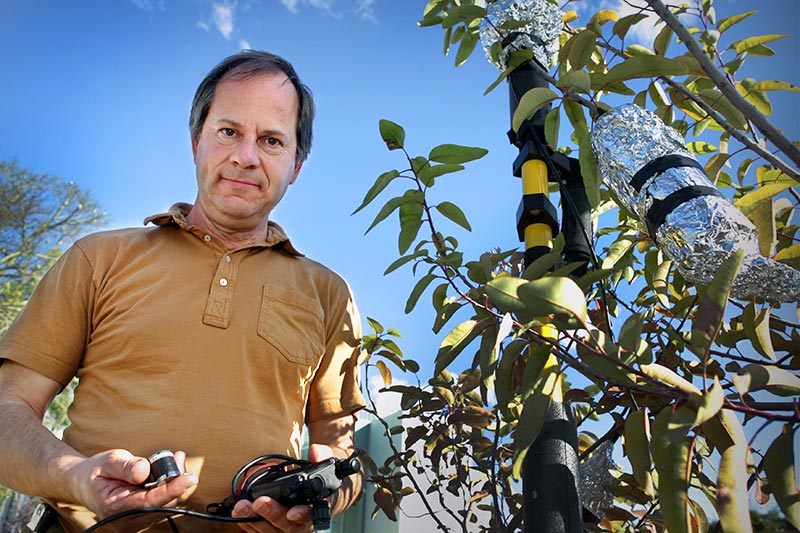 H. Jochen Schenk, professor of biological science