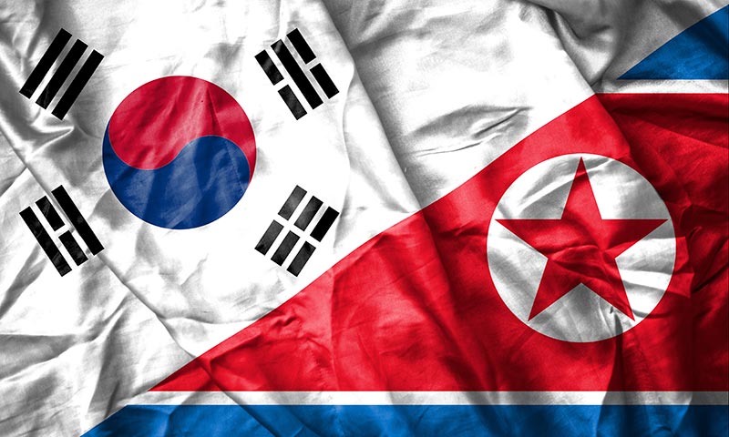 Flags of North and South Korea