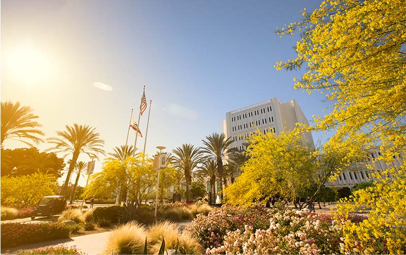 CSUF Campus