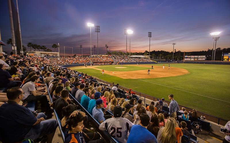 Baseball attendees at Night of the Pachyderm